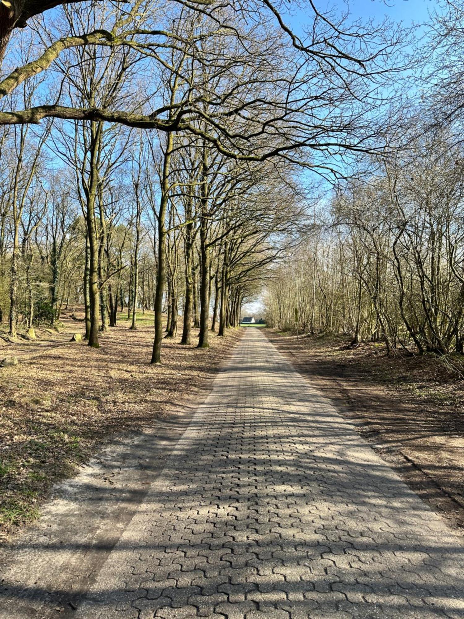 Fewo Am Tillysee In Wardenburg Exteriér fotografie